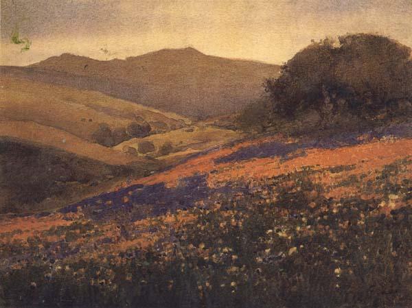 California landscape, unknow artist